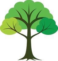 A green Ginkgo tree art illustration and colorful graphics design vector