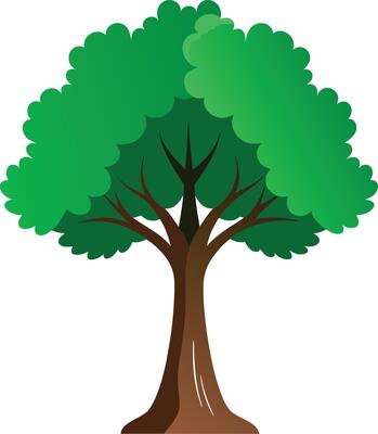 A green Aspen tree art illustration and colorful graphics design