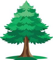 Wonderful a Cedar tree art illustration and colorful graphics design vector