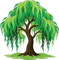 A green Willow tree art illustration and colorful graphics design vector