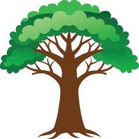 A green Baobab tree art illustration and colorful graphics design vector