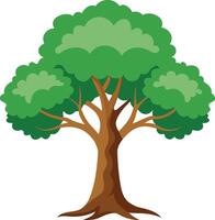 Oak green tree art illustration and colorful graphics design vector