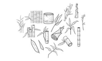 bamboo handdrawn collection vector