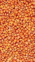 Red lentils are rotating in a circle video