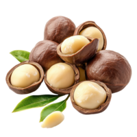 Macadamia Nuts with Fresh Leaves Display on transparent background png