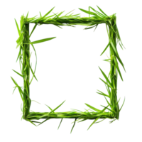 Square Grass Frame Isolated for Natural Design Use on transparent background png