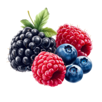 A Mix of Berries with Blackberries, Blueberries, and Raspberries png