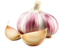 Garlic Bulb and Cloves Arranged Neatly png