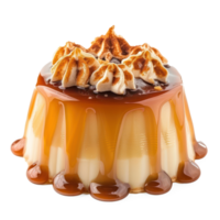 caramel pudding with caramel sauce on top of a transparency background png