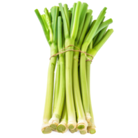 green leeks on a transparent background png