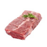 raw meat on a transparent background png