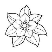 Black and white illustration of a hellebore flower with layered petals and intricate lines vector