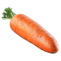 Isolated Fresh Carrot on Transparent Background for Digital Projects, Illustrations, and Branding png