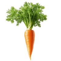 Fresh Isolated Carrot on Transparent Background for Digital Art, Design, and Creative Projects png