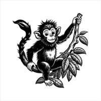 Monkey Swinging From Tree vector