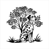 Dalmatian Dog illustrations vector