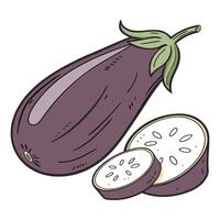 An eggplant and a slice of it are shown vector