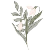 Elegant botanical flat illustration with bouquet. soft green leaves and pastel pink flowers snowdrops. Minimalist design with a muted color palette, perfect for spring decor vector