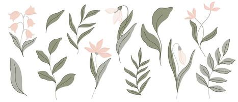 Elegant botanical flat illustration with soft green leaves and pastel pink flowers, lilies of the valley and snowdrops. Minimalist design with a muted color palette, perfect for spring decor vector