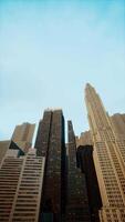 vertical format of looking directly up at the skyline of the financial district video