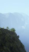 A misty mountain landscape with towering trees on a rugged cliff video