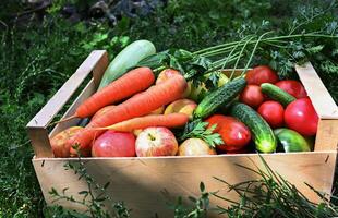 A farmer's pride, evident in the beautifully arranged and freshly harvested fruits and vegetables in the crate. The image celebrates the bounty of the season and the hard work invested in nurturing photo