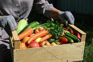 A farmer's market scene, captured in the image of a crate overflowing with fresh produce. The image suggests a community gathering, where people connect with the source of their food. photo
