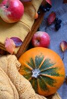 The image is a beautiful and evocative still life that celebrates the colors and textures of fall. The composition is balanced and pleasing, and the soft lighting creates a warm and inviting atmosph photo