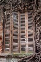 An old wooden window with shutters is enveloped by thick, twisting tree roots, creating a striking blend of nature and decay photo