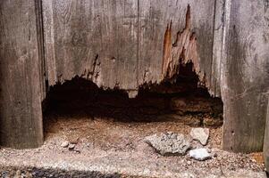 A close up of a weathered wooden fence with significant rot and decay at the bottom, revealing the ground and debris beneath photo
