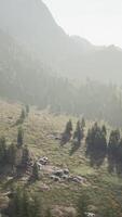 Mountain range with valley and forest video