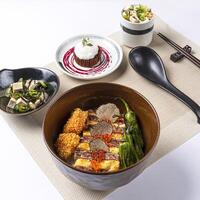 Japanese Wagyu Sirloin Bento with Tofu seaweed salad served in bowl and Chocolate lava cake ice cream isolated on napkin side view of Japanese food on white background photo