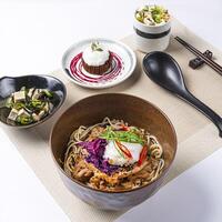Duck Confit Ramen with Tofu seaweed salad served in bowl and Chocolate lava cake ice cream isolated on napkin side view of Japanese food on white background photo