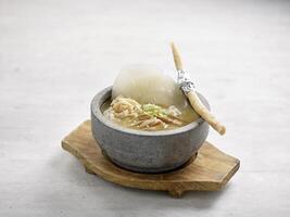 Superior Sharks Fin in Supreme Broth accompanied with Crispy Spring Roll served in Japanese Stone Pot isolated on grey background photo