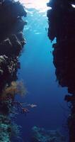 Underwater scenery with coral reef rocks and sunlight in blue ocean. Vertical view video