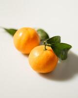 oranges and tangerines with leaves whole and in size lie on a white background photo