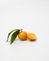 oranges and tangerines with leaves whole and in size lie on a white background photo