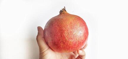 Fresh Pomegranate fruit or buah delima isolated on white background photo