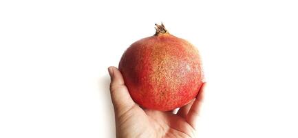 Fresh Pomegranate fruit or buah delima isolated on white background photo