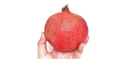 Fresh Pomegranate fruit or buah delima isolated on white background photo