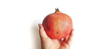 Fresh Pomegranate fruit or buah delima isolated on white background photo