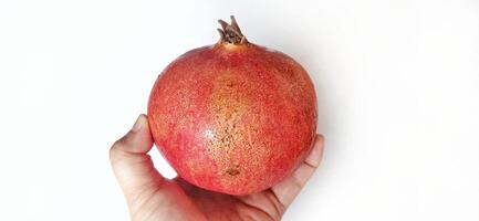 Fresh Pomegranate fruit or buah delima isolated on white background photo