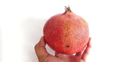 Fresh Pomegranate fruit or buah delima isolated on white background photo