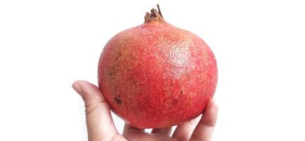 Fresh Pomegranate fruit or buah delima isolated on white background photo