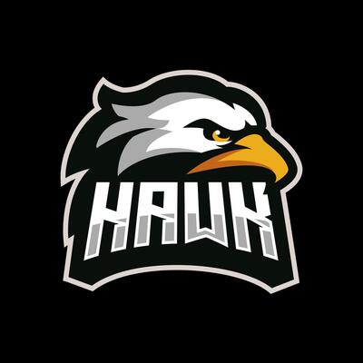 Eagle Head Logo Design Esports Sport Team