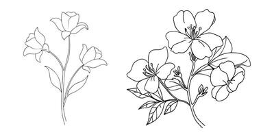 Hand drawn simple flower outline collection vector