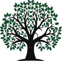 tree with leaves icon , Illustration on white background. vector