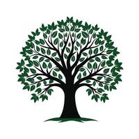 tree icon on white background vector