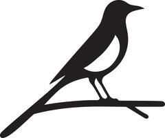 Elegant Silhouette of a Magpie Bird on a Branch vector