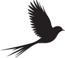 Dynamic Black Bird Silhouette in Flight with Long Tail Feathers vector